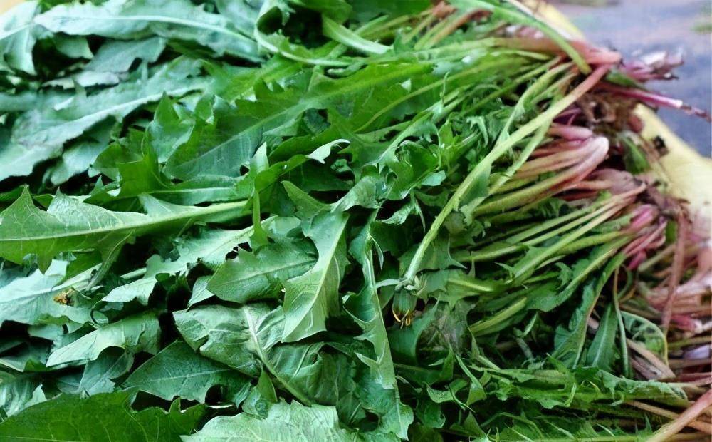 72d5bd5e46504f02b3cbf0ccc9337376.jpeg