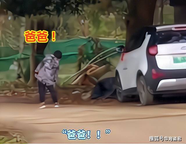 梦境的哀歌，梦见爸爸出车祸死了自己大哭的深层解析与心理启示
