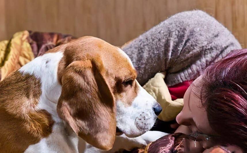 什么|有养狗和养狗的人，差别太大了，你是哪种？