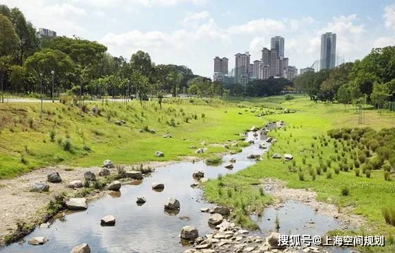 空间管治质量造成社会集聚隔离:新的城市"马赛克"现象_人口_街坊_集聚
