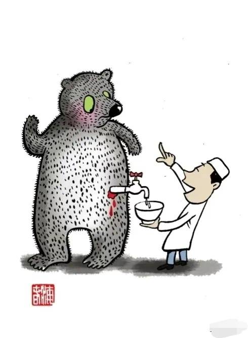 原创活熊取胆惨无人道为何我国仍然允许从活熊体内取胆汁