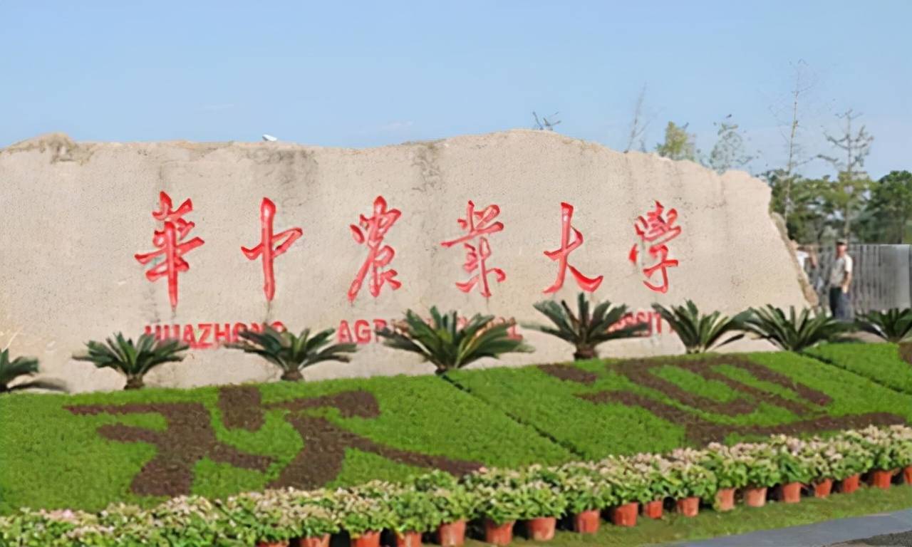自己做一个桌面垃圾桶 8e7a51b233cd4b81b644ff94415cc7ac.jpeg