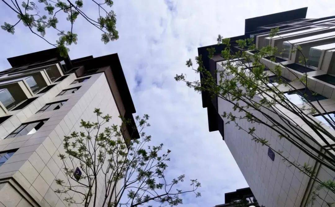 泸州房价川酒青云台墅境洋房光影流转下的生活演绎