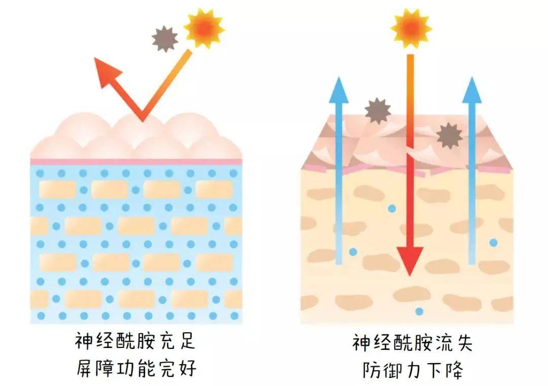 苗苗苗苗扒成分｜还有哪个敏感肌宝宝不知道神经酰胺的功劳？