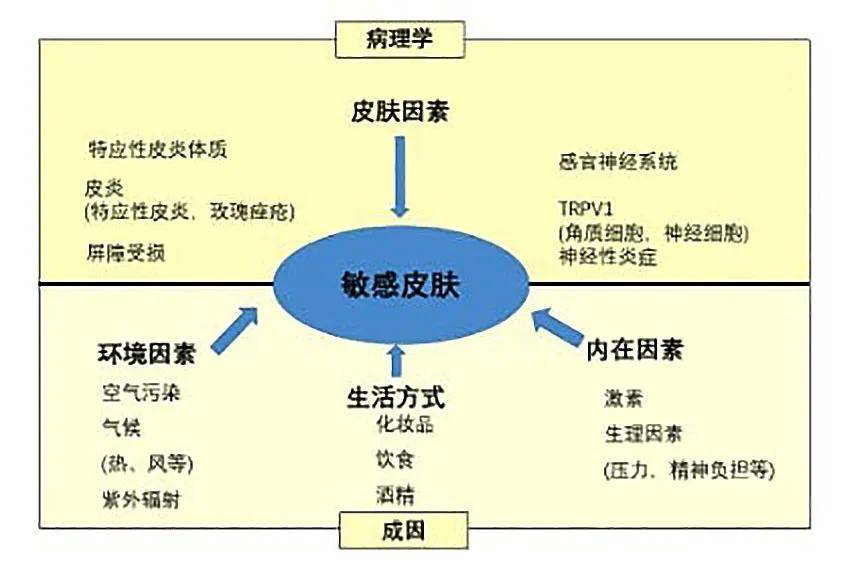 感觉神经春季敏感肌伤不起？做到这几点，拯救危“肌”！