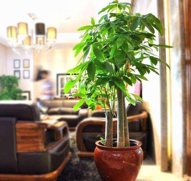 80ef2d09f1e34dd794430075666d2010.jpeg