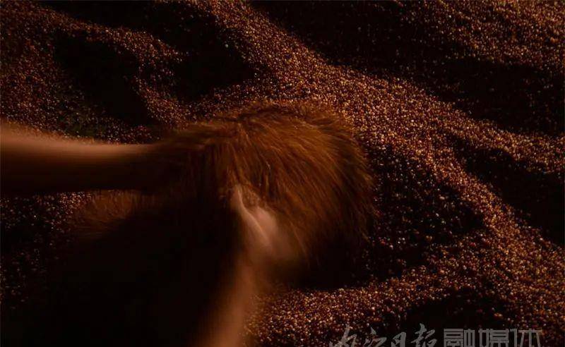 内江|内江“神奇”!民间土酿高粱酒,每年外卖三万斤——