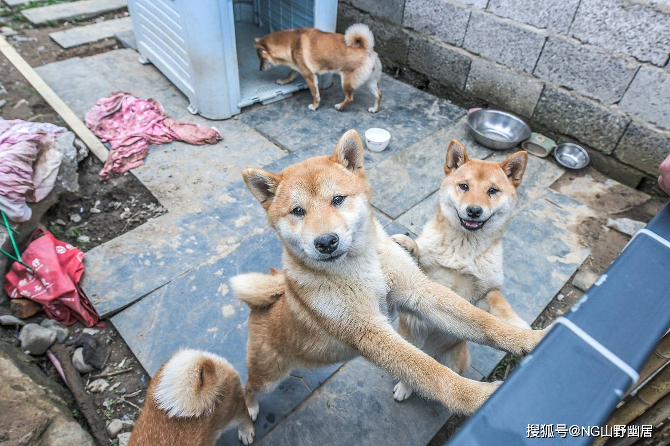 自然环境|宁国市区最高端民宿：汇集当地吃喝玩乐，享受完美的度假生活