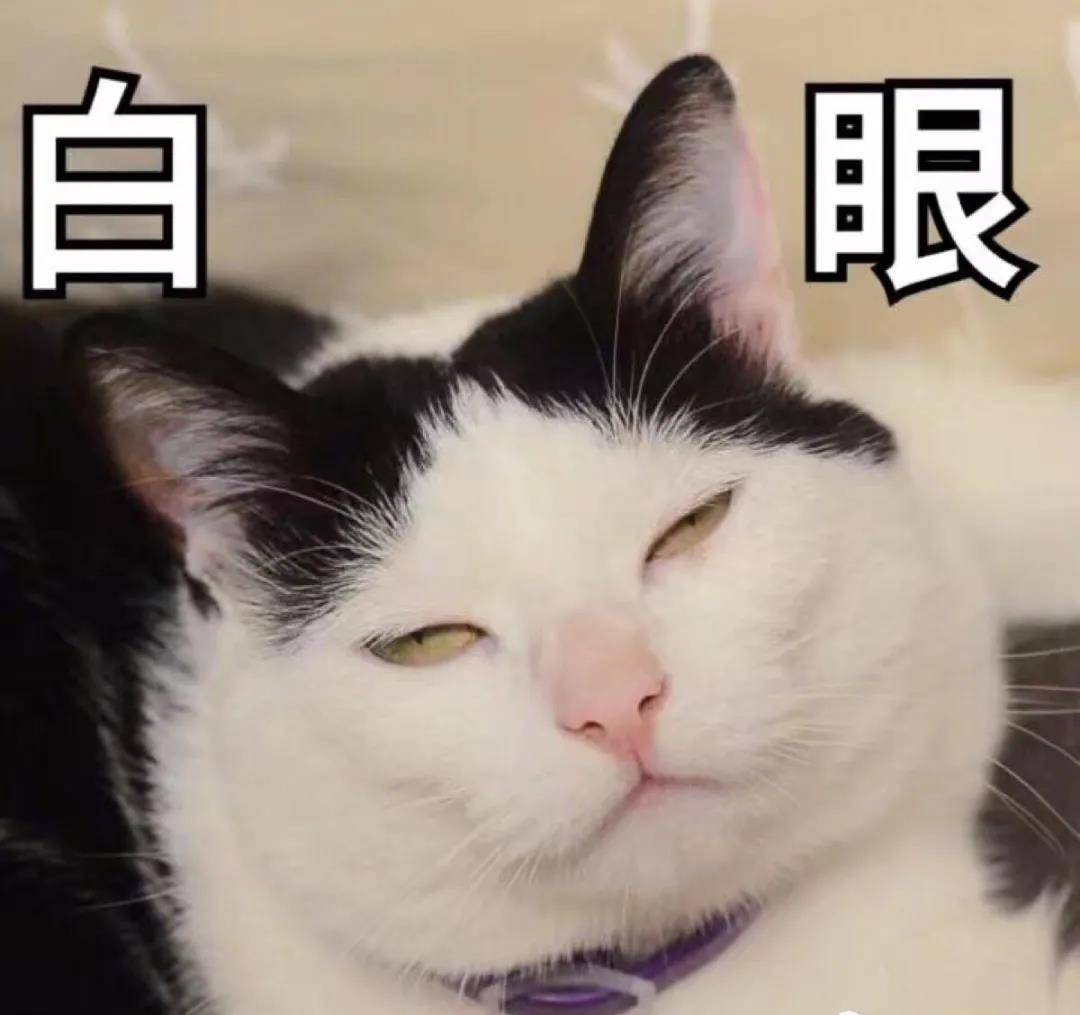 e933a12d544342a2b73ea0b091be03aa.jpeg