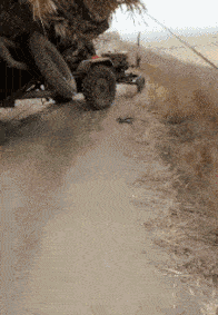 fe66f6665238461f9731c8eb4ac4ad93.gif