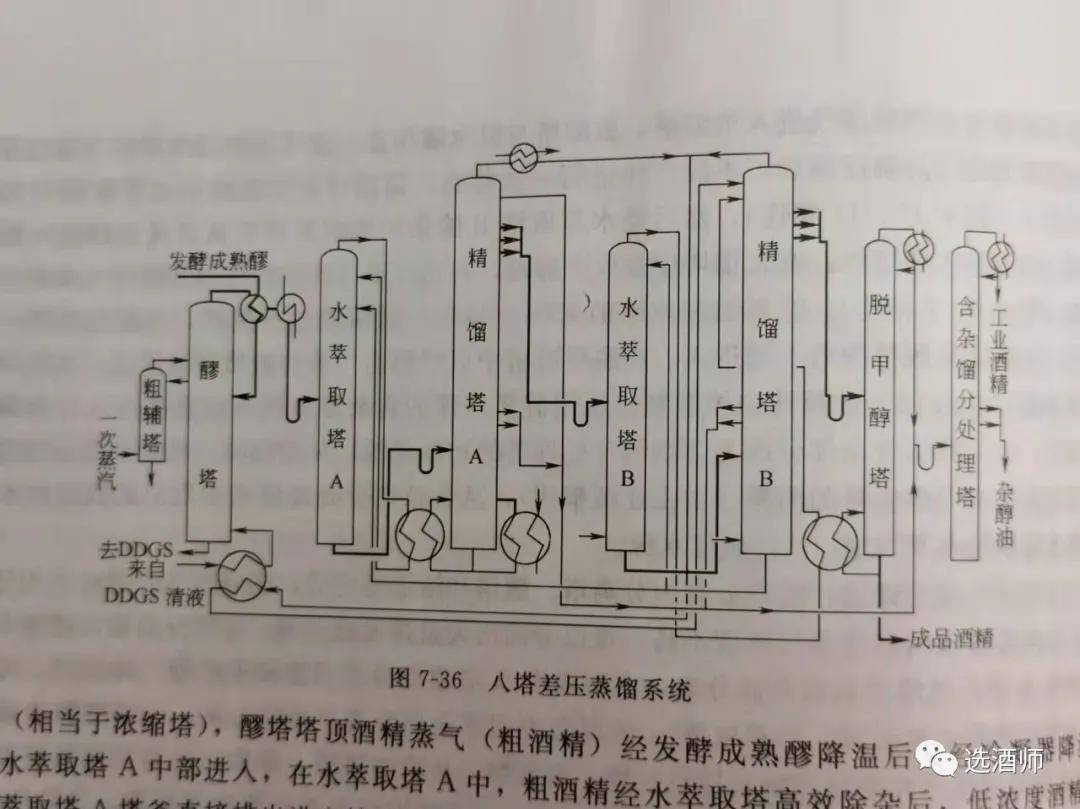 先看看这些生殖器的小知识的简单介绍-第1张图片-鲸幼网