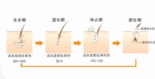 洗头洗头到底洗的是什么，希芸回答你