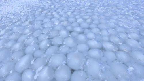 四海|冰封的湖面下全是冰团雪团！“冰汤圆”奇观惊现吉林四海湖