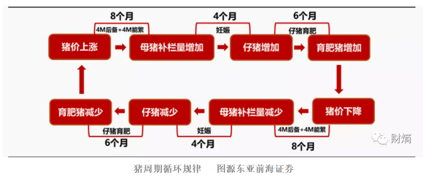 被猪"吃"了的正邦科技:巨亏200亿背后的资本游戏_周期_生猪_价格
