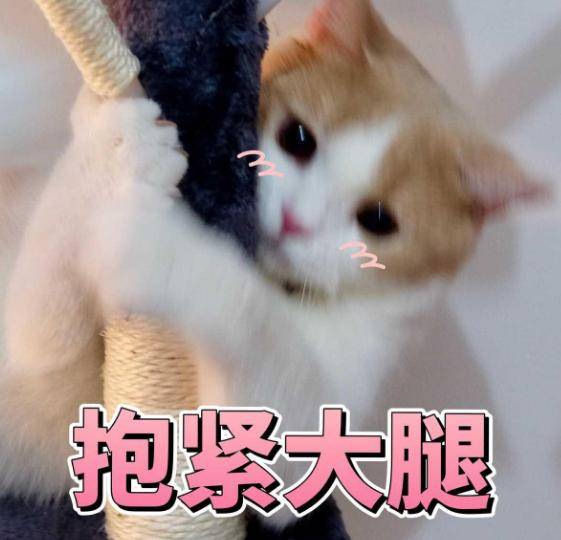 广告|UC的这次悄悄优化，凭什么能一眼惊艳千万人？