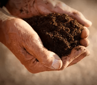 六大|克维利:2022喝606,让你人生六六大顺