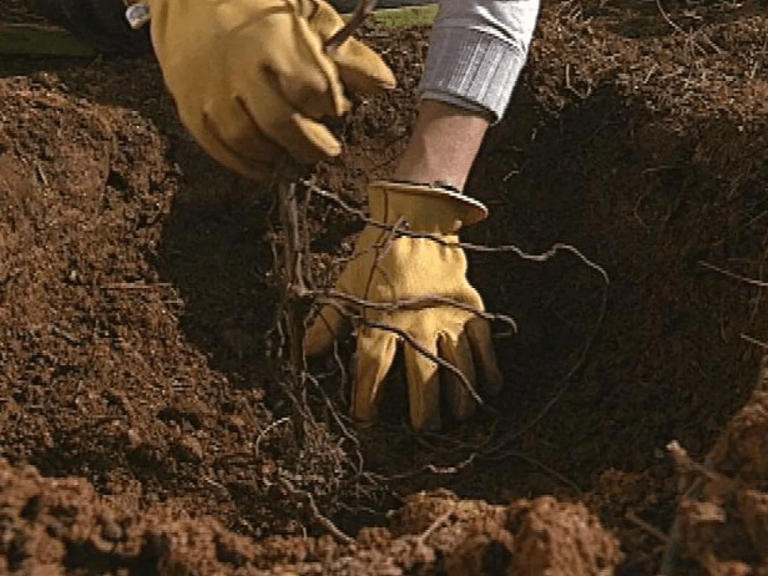 六大|克维利:2022喝606,让你人生六六大顺