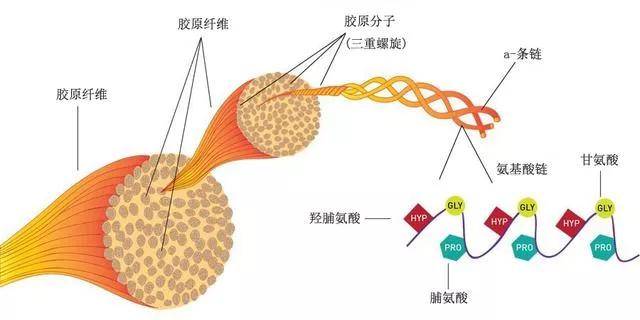 因为谁能想到这种绝美恶女颜背后,是个傻白甜啊