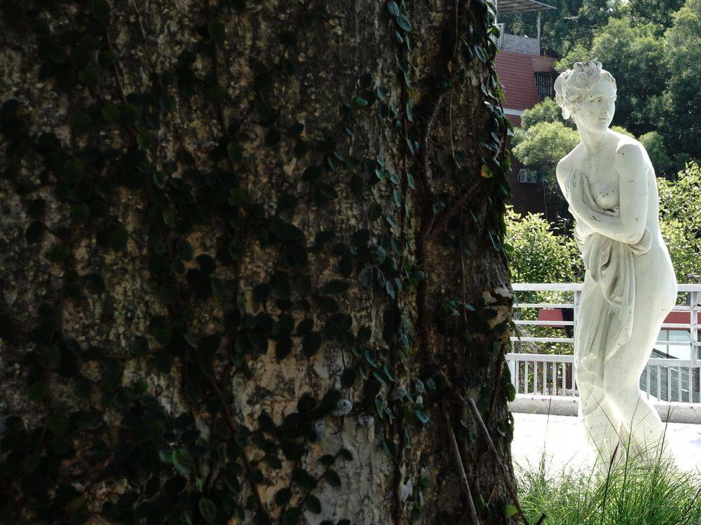 晴天|鼓浪屿美院：生命有时，美好永不止步