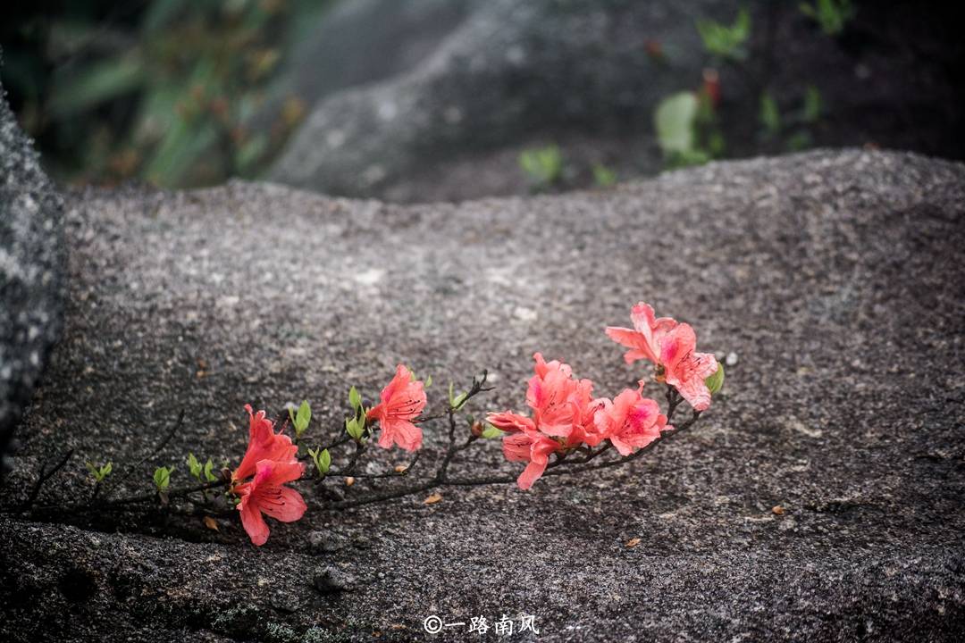 广州|广州“偏远”郊区，虽然山地众多，但景色迷人，被誉为后花园