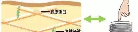 曲线林依晨现在这个认不出的脸，代表了可爱风妹子衰老后的普遍样子？