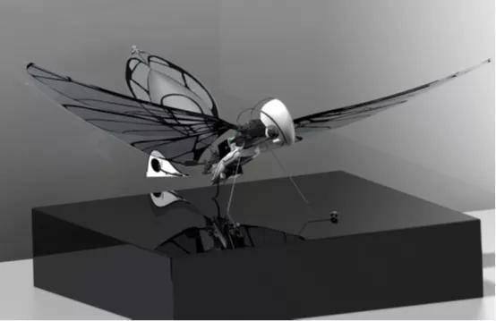 法国军方研制扑翼仿生无人机_飞行_隐身能力_项目
