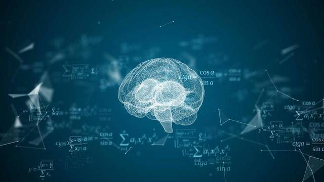图宾根大学和波恩大学最新研究发现大脑中“数学神经元”