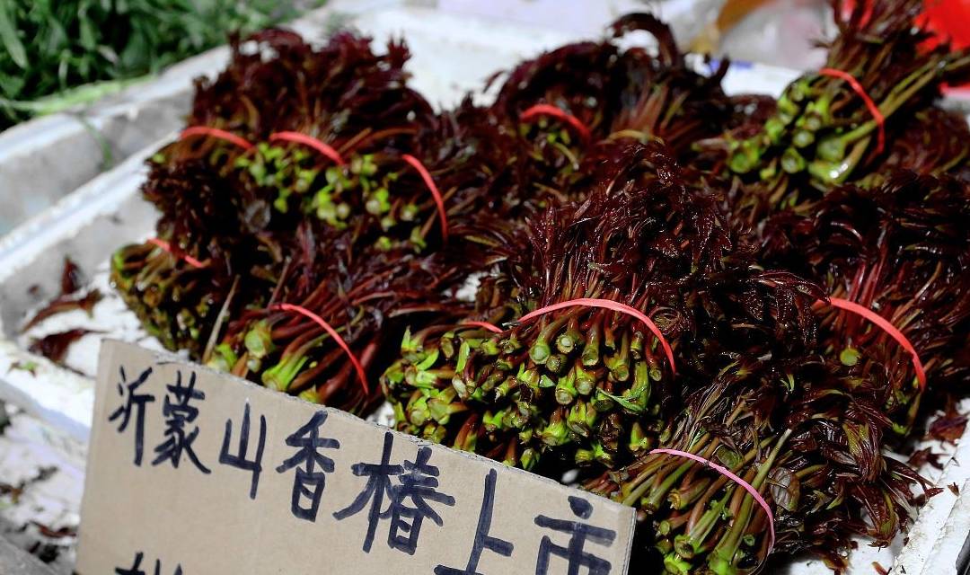 原创
此菜被称为“树上蔬菜”,与荔枝齐名,价格按两算,是土豪的标配