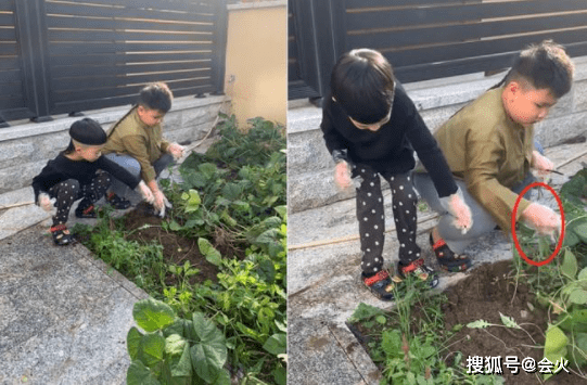 伙伴|郭德纲小儿子玩豪华游戏机！身形壮实辫子超长，身后昂贵玩偶抢眼