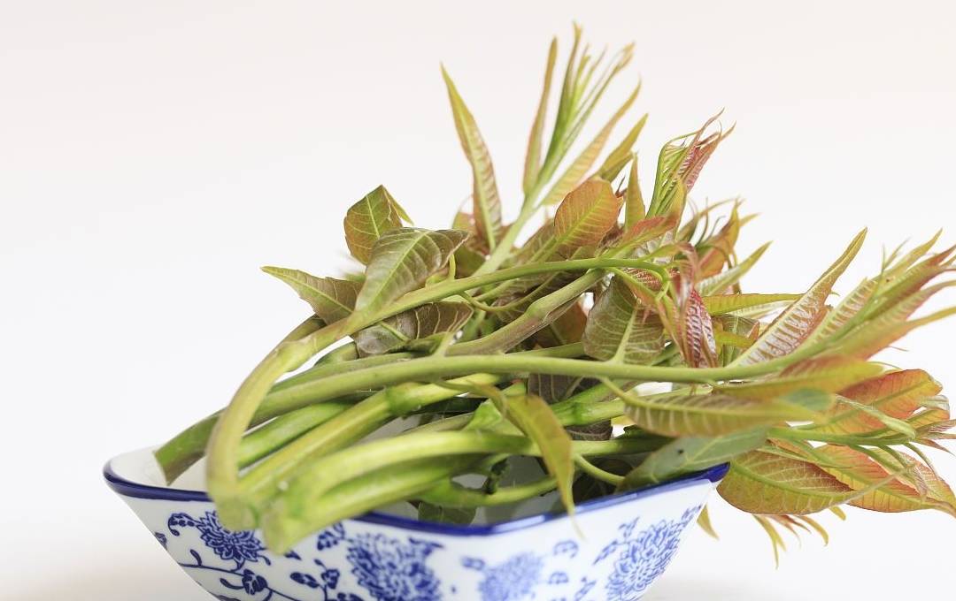 原创
此菜被称为“树上蔬菜”,与荔枝齐名,价格按两算,是土豪的标配