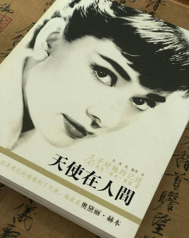 《天使在人间》:优雅的姿态,来源于与知识同行_肖恩_奥黛丽赫本_传记