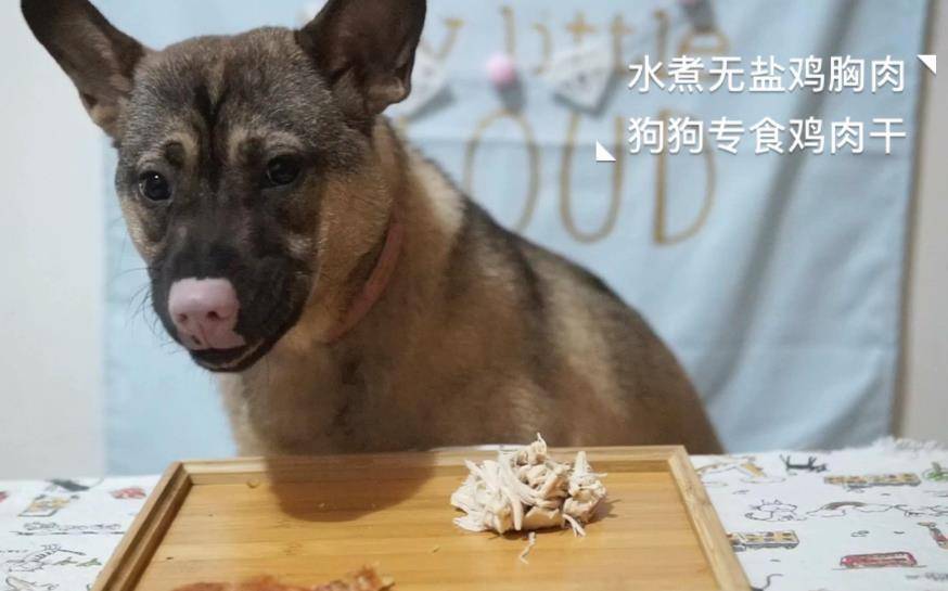 因为|狗狗吃鸡肉好吗？当然好，不过喂食要注意一点