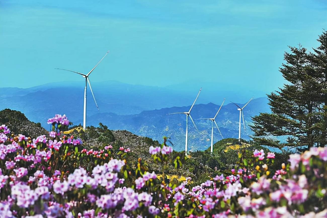 凉山a级景区再添新成员德昌县营盘山童话森林景区