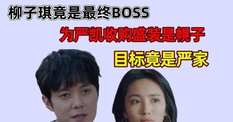 盛装:柳子淇竟是最终boss,为严凯收购盛装是幌子