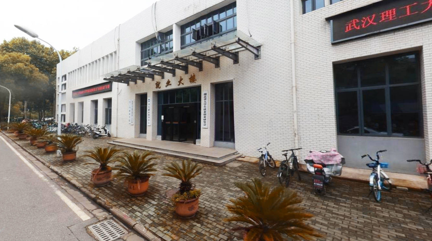 原创穿梭在武汉闹市一所工科高校遍布梧桐树荫老旧教学楼沉淀岁月