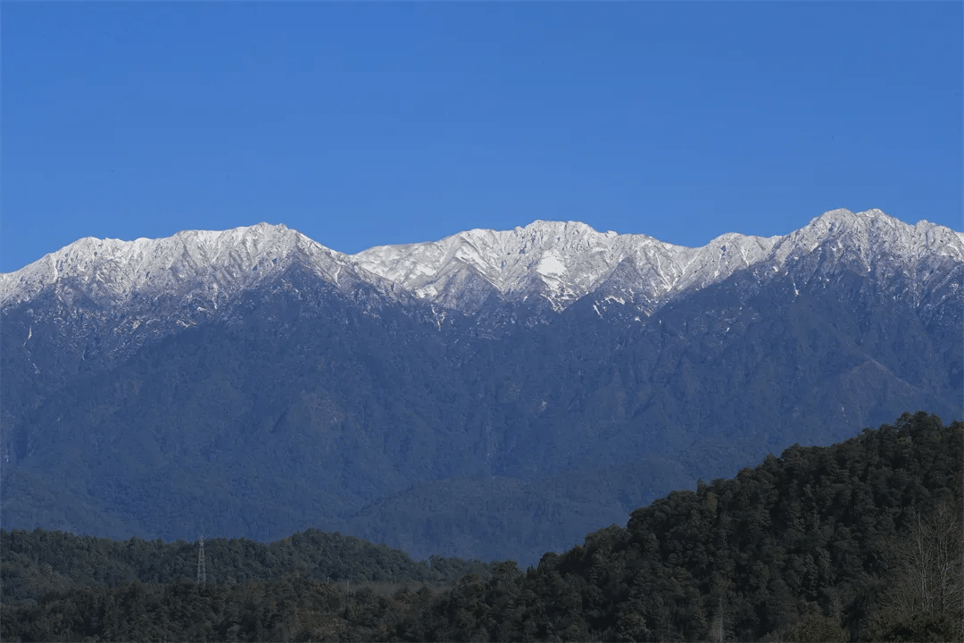 清风|初春腾冲：油菜花开金灿灿，紫云沫雪白皑皑