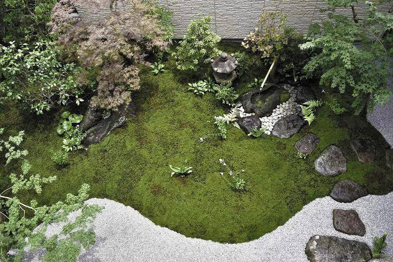 直呼过瘾枡野俊明53个作品一次看个够