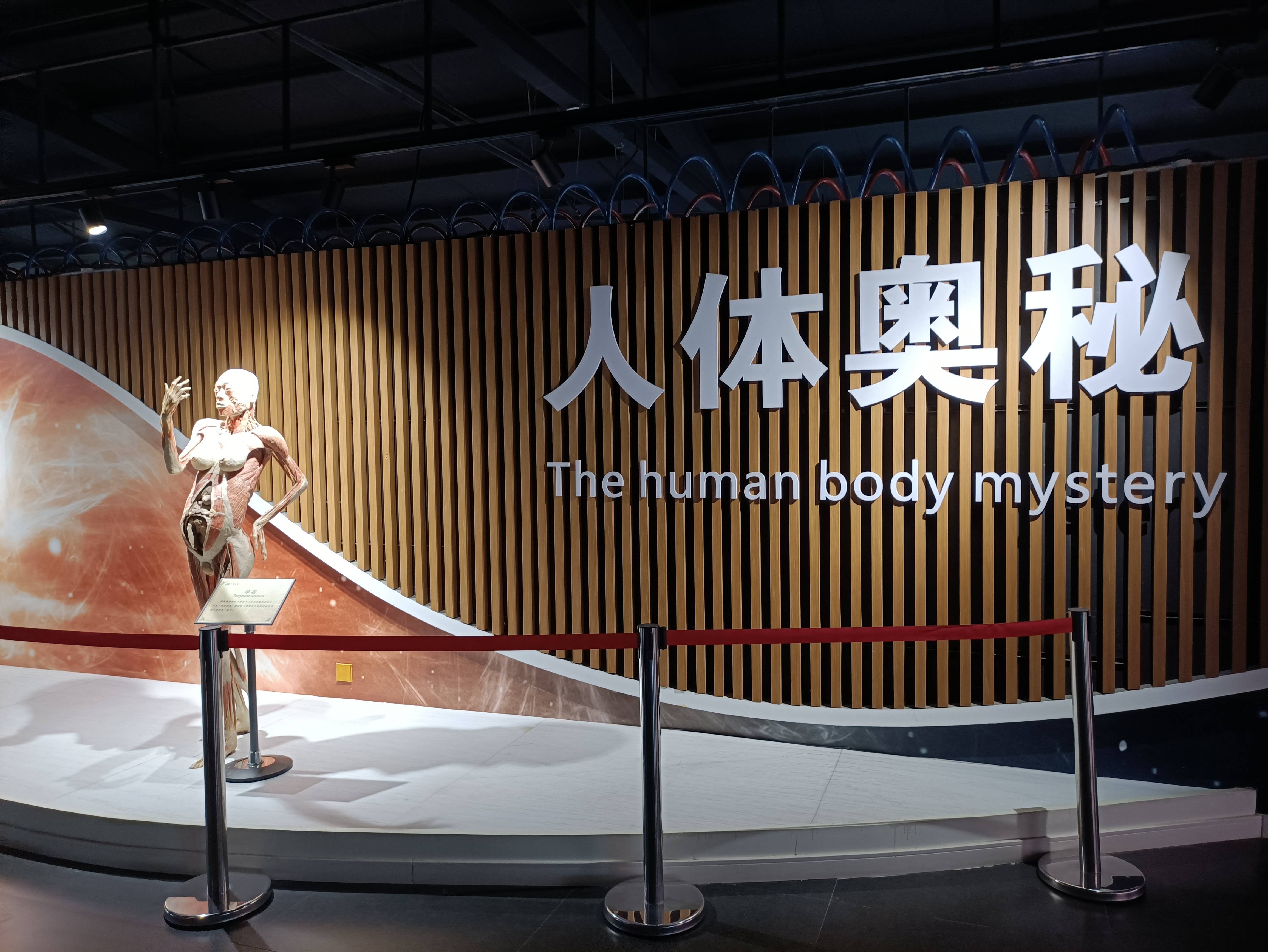 郑州西四环免费开放的景点你去过几个郑州人体科学馆邀你来玩