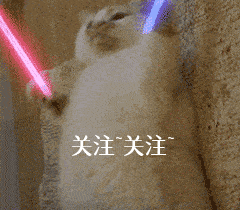 凝胶|为什么有些狗狗不爱？除了纯粹的讨厌外，还有其他原因