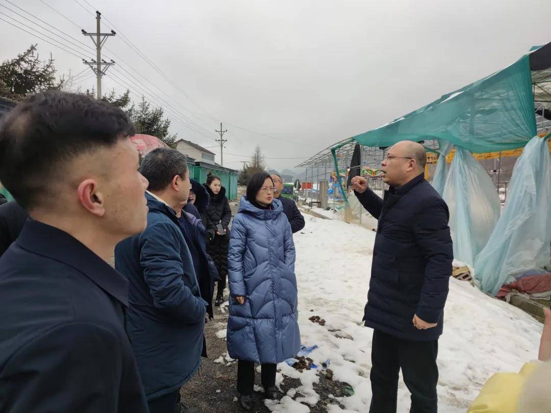 马丙合到红池坝景区调研旅游发展及社区综合治理工作