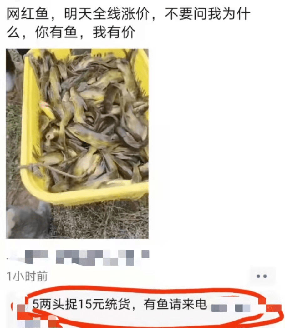 较小,养户继续惜售;同时水产前沿了解到,目前佛山各地黄颡鱼价格较乱