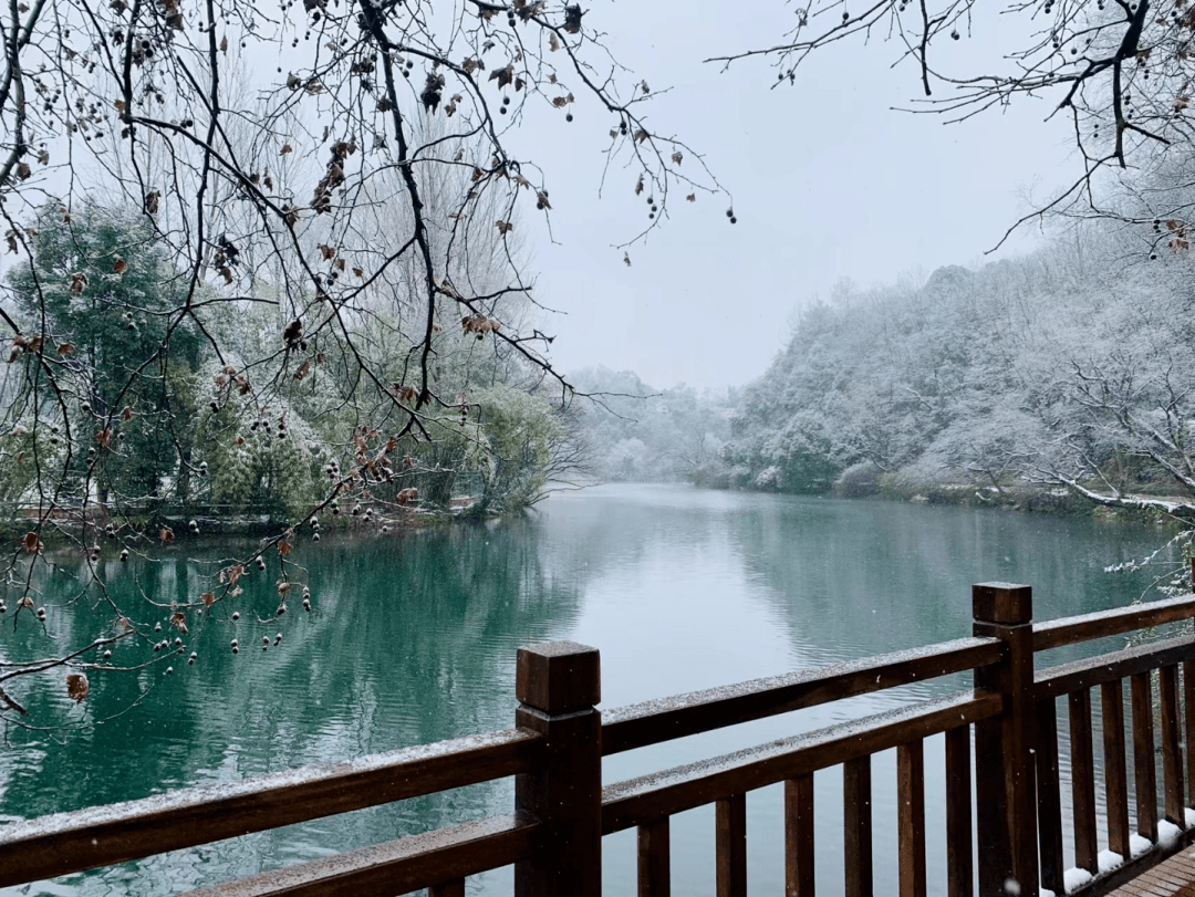 美得|花溪的绝美雪景，让您“醉”在如梦如幻的“人间仙境”里