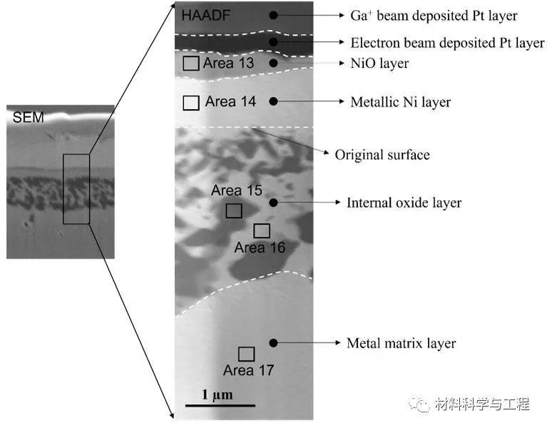 上海交大《Acta Materialia》：高Cr-Ni合金在高温水蒸汽中耐腐蚀原理