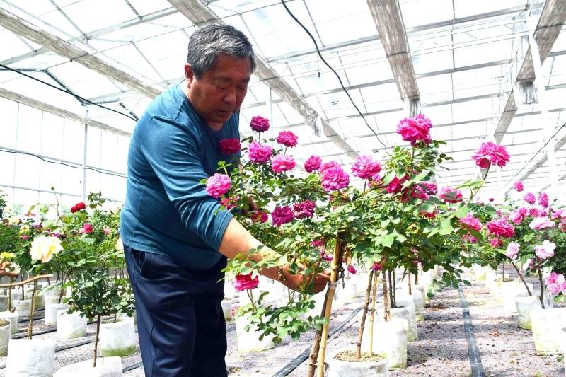 月季抗病排行榜_日本某网络视频平台公布一月季番动画最终排行,《无职》垫底了