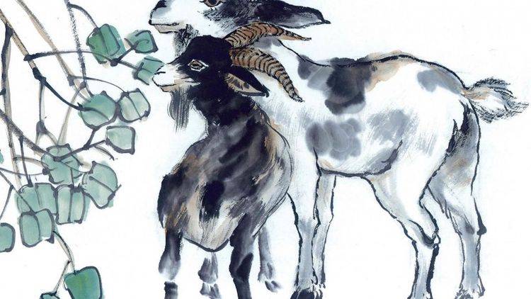 ���ﲻһ,�ó�������ʵ����,���������Ը����Ф,����׽����͸