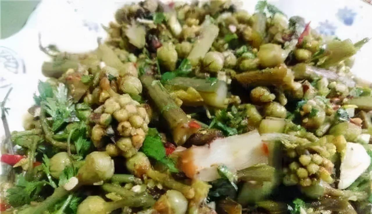 腾冲人春天吃的山茅野菜你吃过几样