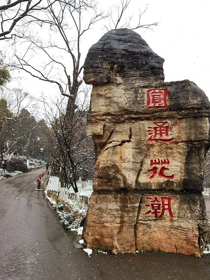 日子|昆明下雪了！春城的雪景真美丽！