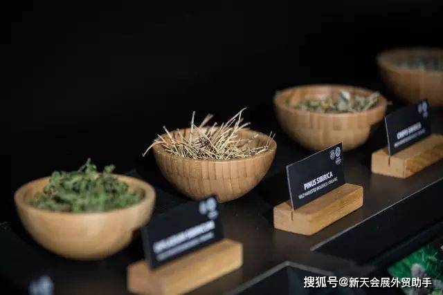 活动小天说展 | 意大利博洛尼亚美容展COSMOPROF之历史回顾