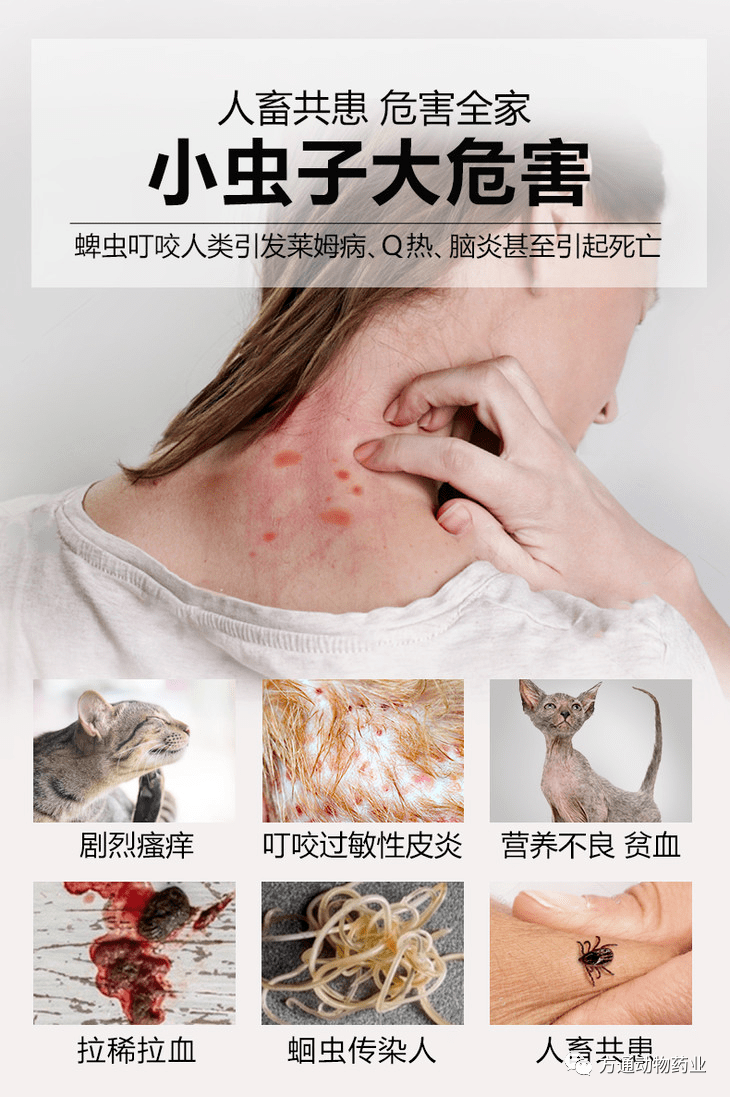 用于治疗犬,猫的线虫病,螨病和寄生性昆虫(虱,蚤,蜱)病主要成分:阿维