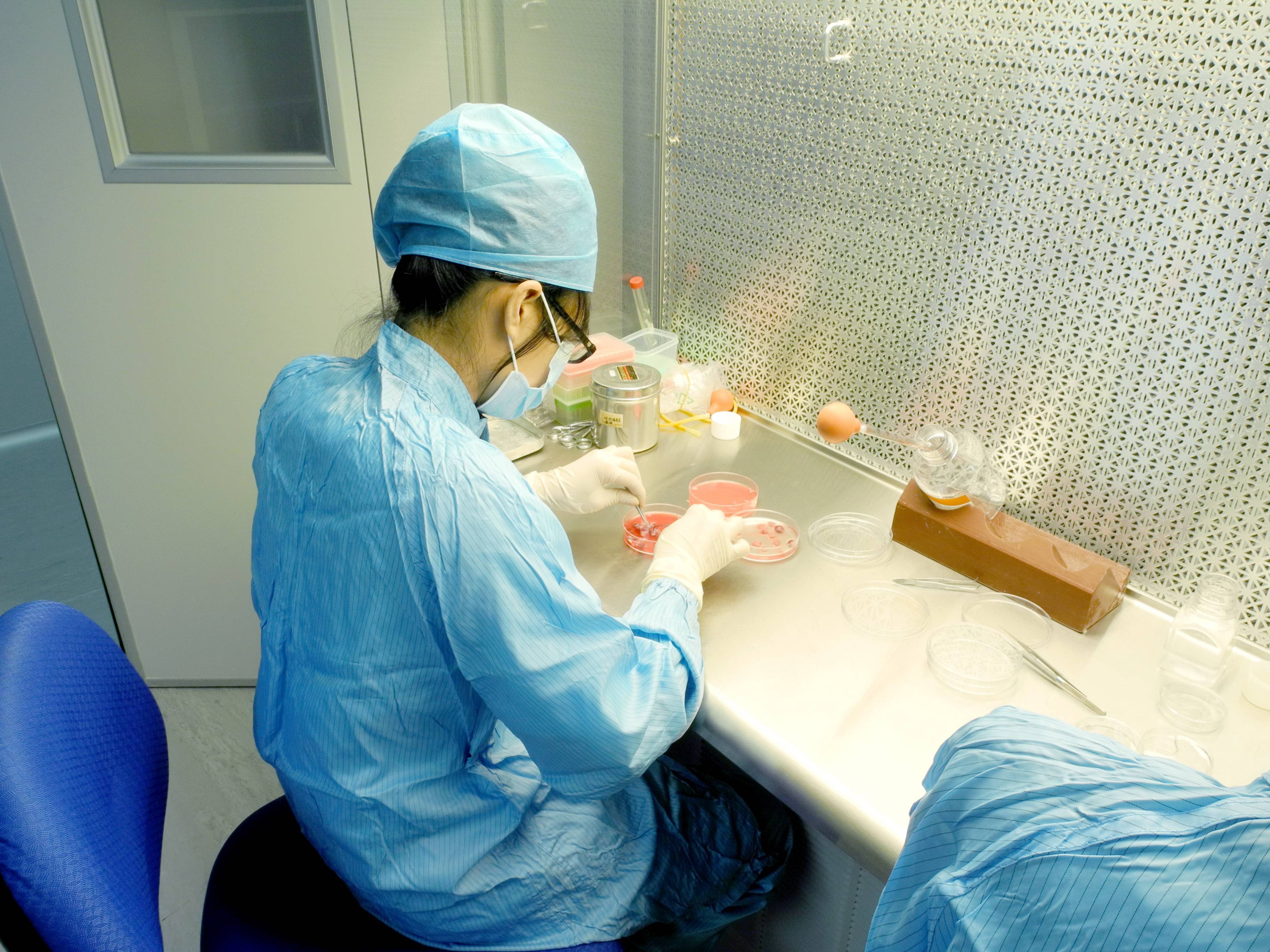 干细胞提取与鉴定服务飞凡检测